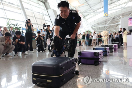 Buôn bán ma túy qua sân bay quốc tế ở Hàn Quốc tăng vọt