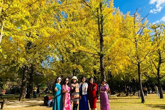 Tour du lịch Hàn Quốc hút khách mùa cuối năm