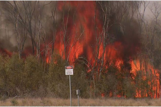 Australia: Cháy rừng hoành hành, người dân ở vùng nông thôn được kêu gọi sơ tán