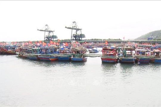 Bác bỏ thông tin cưỡng chế, đàn áp người dân phản đối xây dựng Cảng Long Sơn