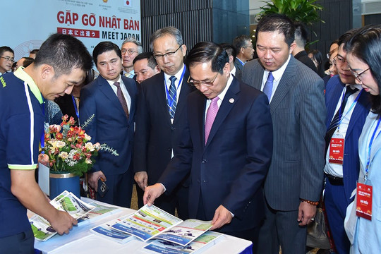 Tăng cường kết nối, mở rộng giao lưu hữu nghị giữa các địa phương Việt Nam - Nhật Bản
