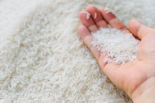 Giá gạo xuất khẩu luôn trong xu hướng tăng