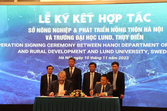 Hợp tác quốc tế phát triển làng nghề Hà Nội