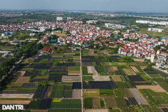 Ngắm "bức tranh" thiên nhiên tuyệt đẹp tại thủ phủ hoa lớn nhất Hà Nội