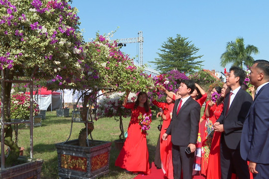 Lễ hội cây cảnh hoa giấy Phù Đổng diễn ra từ ngày 17 đến 19-11