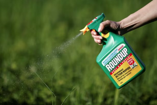 EU gia hạn thời gian sử dụng thuốc diệt cỏ glyphosate