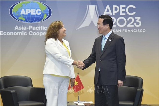 Chủ tịch nước Võ Văn Thưởng gặp Tổng thống Peru, khẳng định tăng cường hợp tác