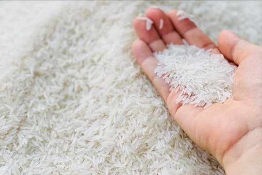 Giá xuất khẩu gạo của Việt Nam tiếp tục tăng