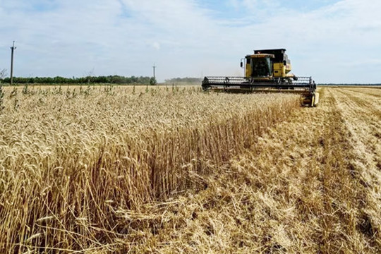 Tia hy vọng cho nền nông Xóc đĩa Ukraine