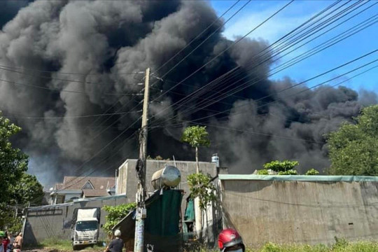  Bình Dương: Cháy rụi xưởng mút xốp 6.00m2