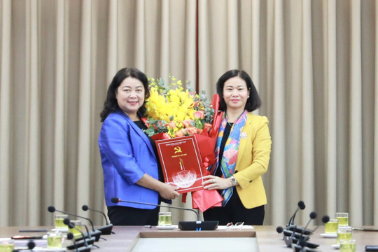 Đồng chí Nguyễn Thị Thu Thủy được điều động giữ chức Phó Chủ tịch Liên đoàn lao động thành phố