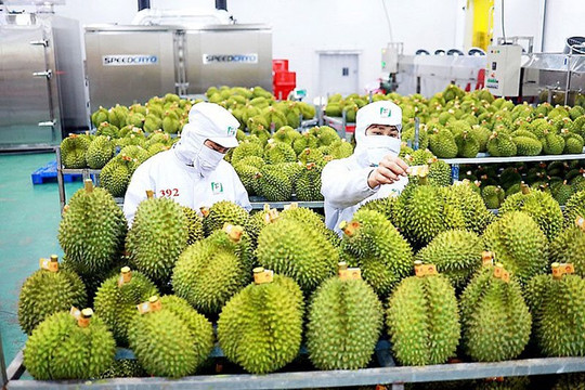 Thương mại Việt Nam - Trung Quốc duy trì đà tăng trưởng ổn định
