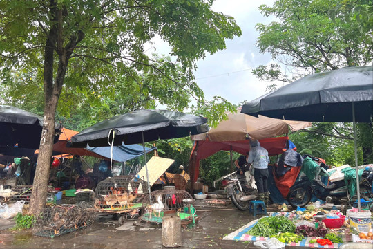 Cần xử lý dứt điểm vi phạm trật tự đô thị trên đường Nguyễn Phong Sắc