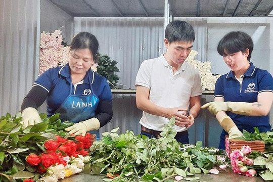 Tạo ra một “thế giới hoa” cùng Công ty TNHH Quỳnh Phương Đà Lạt