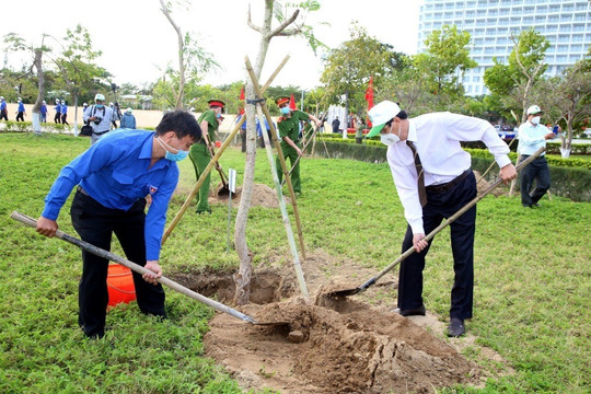 Năm 2024, thành phố Hà Nội trồng khoảng 250.000 cây xanh các loại