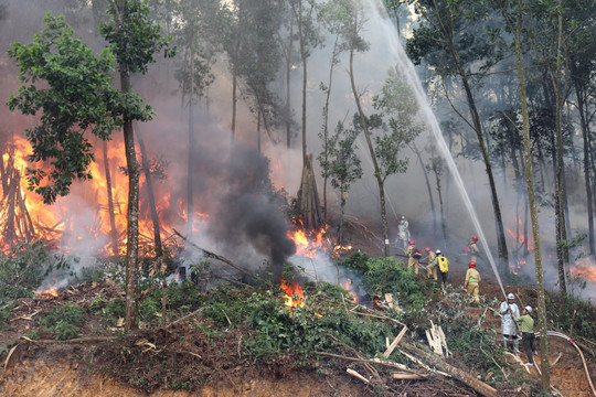 Hơn 800 người tham gia diễn tập phòng cháy, chữa cháy rừng cấp quốc gia năm 2023