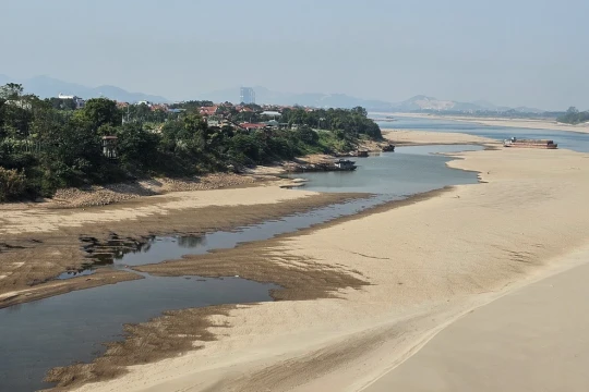 Mực nước sông Hồng, sông Đà ở Phú Thọ xuống mức thấp kỷ lục