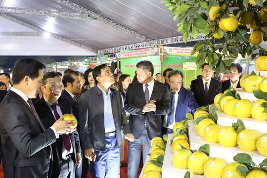 Lễ hội nông sản thành phố Hà Nội năm 2023: Tăng kết nối, quảng bá, tiêu thụ