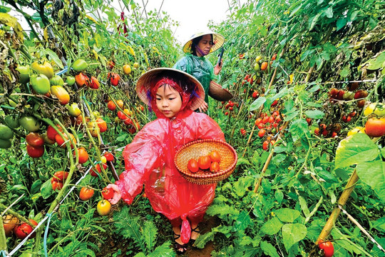 Mô hình du lịch nông nghiệp bền vững ở Giang Biên