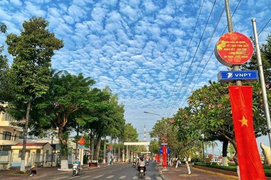 Kỳ thú "mây vảy rồng" ở An Giang