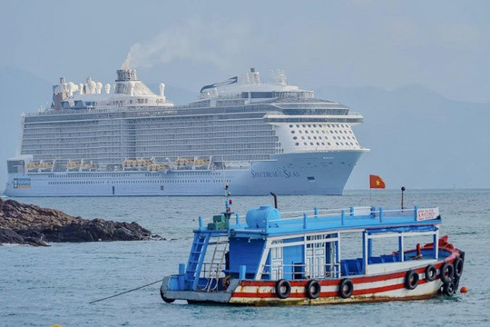 Hơn 3.500 du khách tàu biển cập cảng Phú Mỹ