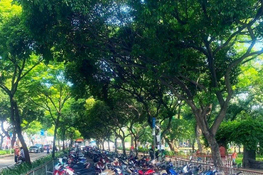 Diện tích cây xanh đô thị tại TP Hồ Chí Minh chỉ đạt 17% kế hoạch