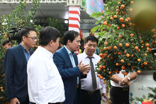 18 cây quất cảnh đẹp nhất được vinh danh tại Hội thi quất cảnh truyền thống Hà Nội