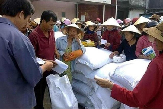 Hỗ trợ 17 địa phương hơn 12.800 tấn gạo dịp Tết Nguyên đán Giáp Thìn