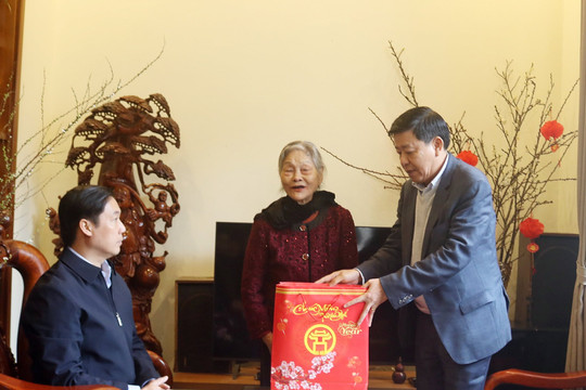 Phó Chủ tịch UBND thành phố Dương Đức Tuấn thăm, tặng quà Tết người có công huyện Chương Mỹ 