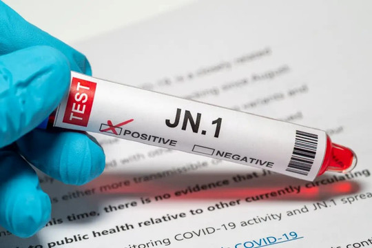 TP Hồ Chí Minh phát hiện bệnh nhân Covid-19 nhiễm biến thể phụ JN.1