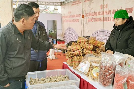 Doanh nghiệp 20 tỉnh, thành quảng bá nông sản OCOP tại Sóc Sơn