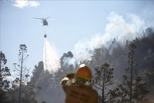 Cháy lan rộng mất kiểm soát tại Công viên quốc gia Los Alerces ở Argentina