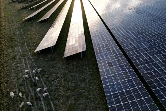 Các nhà sản xuất pin mặt trời châu Âu yêu cầu hỗ trợ khẩn cấp