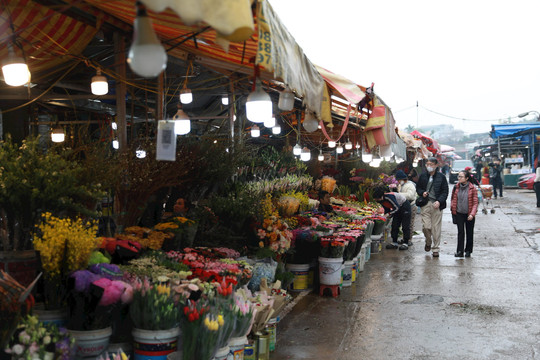 Chợ hoa Quảng An: Bình ổn giá để hút khách du xuân, mua sắm Tết