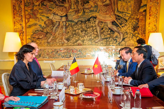 Thúc đẩy hợp tác Việt Nam - Bỉ đi vào chiều sâu và ngày càng thiết thực