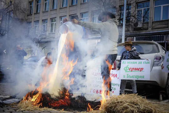 Nông dân Bulgaria gia nhập “làn sóng” biểu tình tại châu Âu