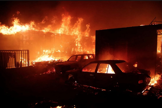 Chile: 122 người thiệt mạng, hàng trăm người mất tích do cháy rừng