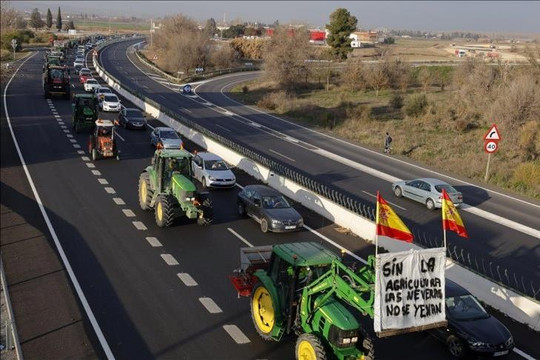 EU xem xét lại các chính sách nông nghiệp khi biểu tình gia tăng