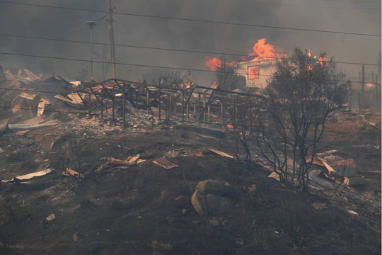 Chile: Số người thiệt mạng do cháy rừng tiếp tục tăng