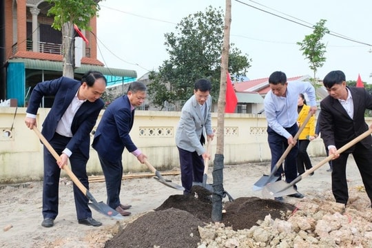 Năm 2024, huyện Sóc Sơn phấn đấu trồng 30.000 cây xanh các loại