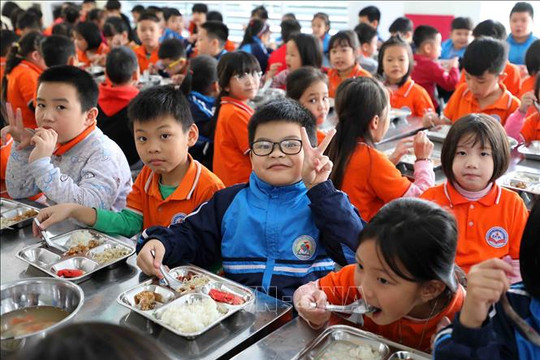 Hà Nội: Số trường tiểu học có tổ chức bữa ăn học đường đạt khoảng 65%.