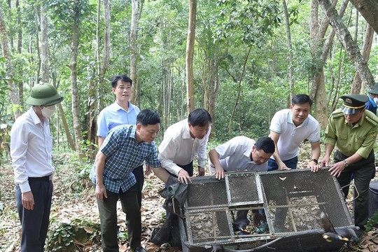 Đề xuất quy hoạch khu bãi giữa Văn Lang (Ba Vì) thành khu bảo vệ loài chim hoang dã
