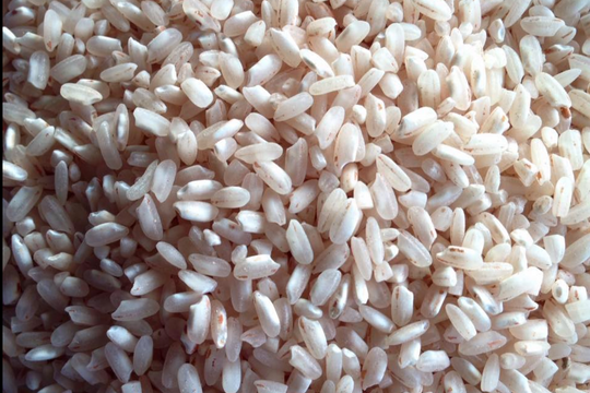 Gạo Nàng Keo Thạnh Phú