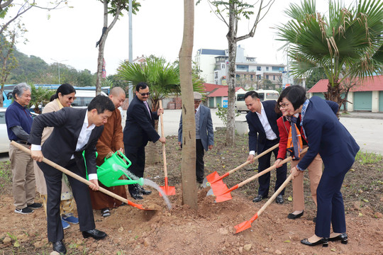 Hội Hữu nghị Việt Nam - Ấn Độ thành phố Hà Nội tổ chức trồng cây hữu nghị