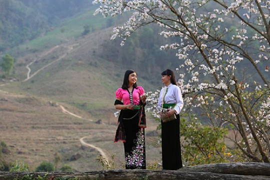 Quảng bá du lịch Điện Biên qua cuộc thi ảnh “Lung linh miền hoa ban”