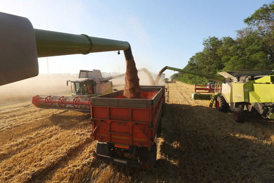 Các nước EU nhất trí một số biện pháp nhằm vào ngũ cốc và tài sản Nga