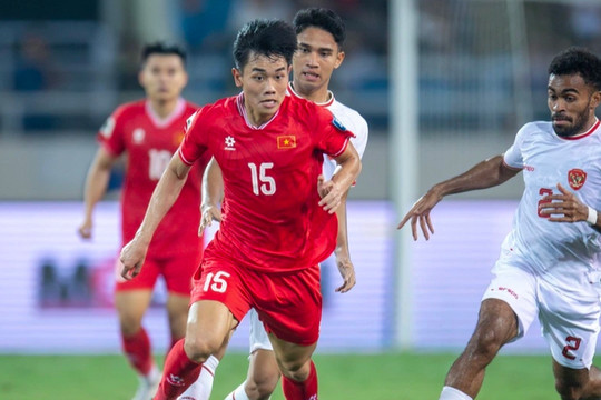 Đội tuyển Việt Nam tụt hạng nhiều nhất thế giới