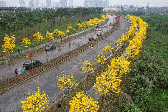 Hà Nội: Thành phố của những mùa hoa