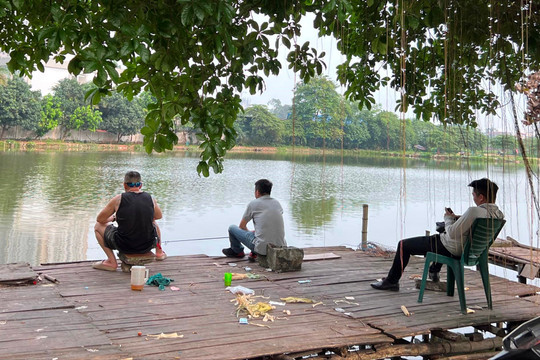 Hà Nội: Khoanh vùng khu vực hồ phát hiện cá sấu để điều tra