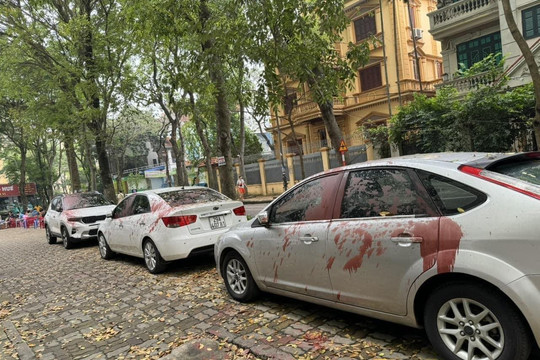 Khẩn trương làm rõ 6 ô tô bị tạt sơn tại Định Công (quận Hoàng Mai)